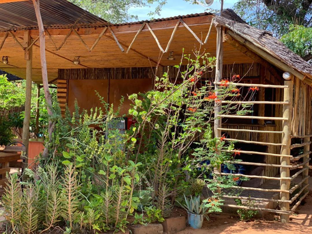 Jungle Breeze Home Stay Kasane Luaran gambar