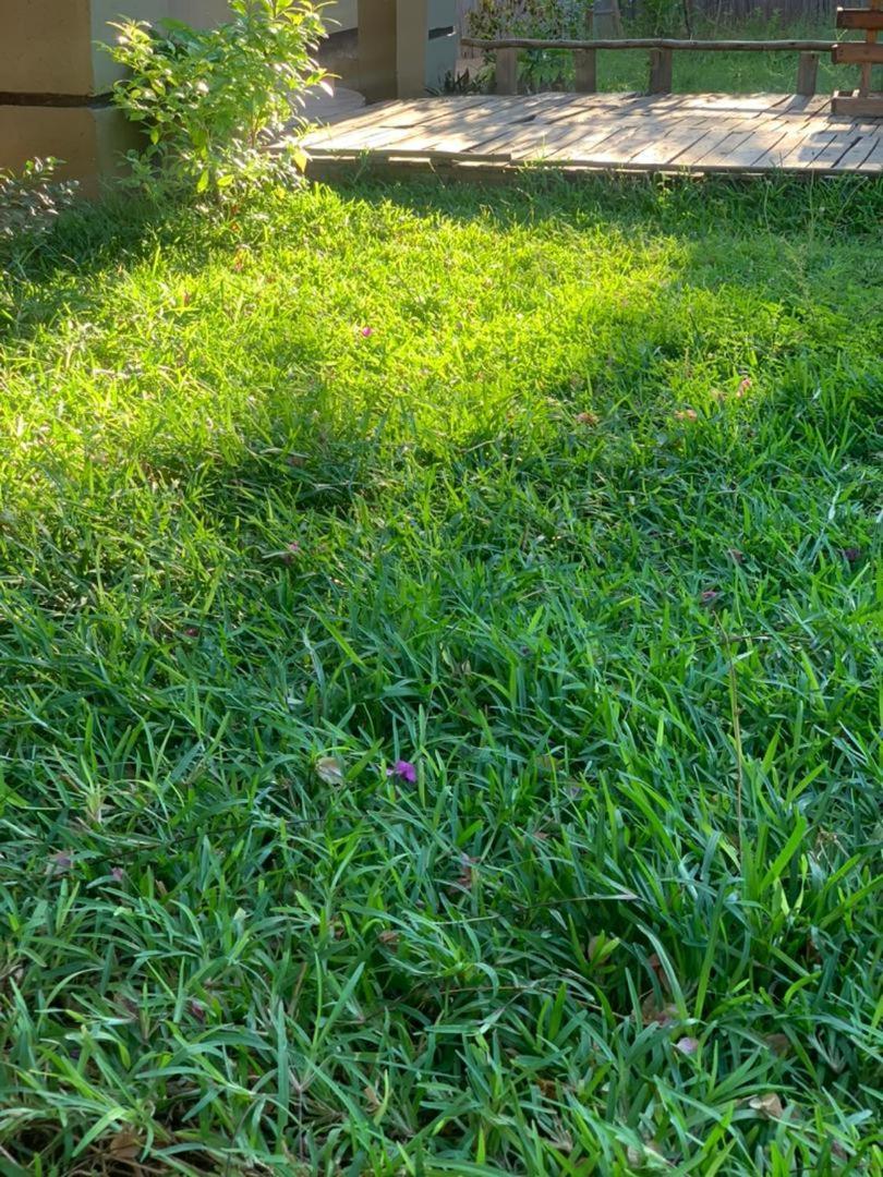 Jungle Breeze Home Stay Kasane Luaran gambar